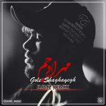 دانلود آهنگ ریمیکس گل شقایق از مهراد جم